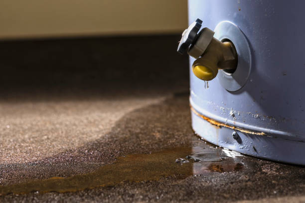 Best Water damage contractors near me  in Georgetown, DE