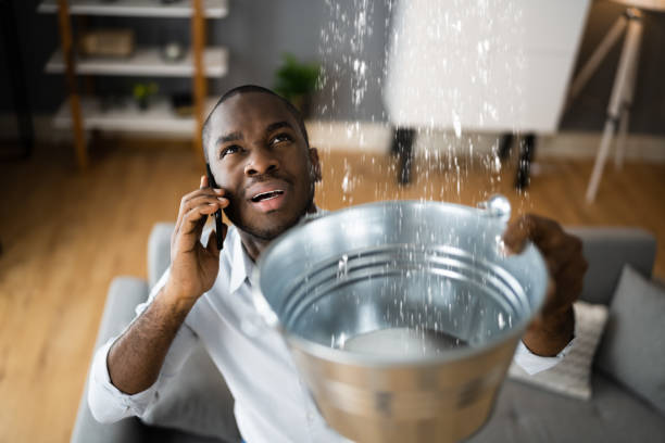 Best Sewage cleanup and water damage restoration  in Georgetown, DE