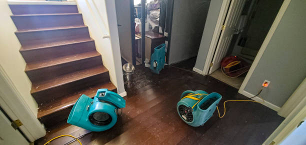 Best Water damage restoration near me  in Georgetown, DE