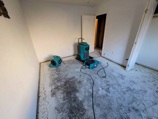 Best Residential water damage restoration  in Georgetown, DE