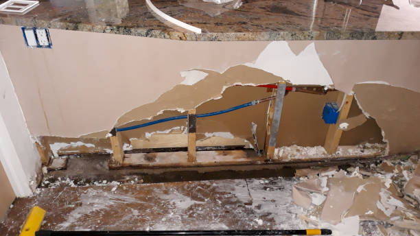Best Carpet water damage restoration  in Georgetown, DE