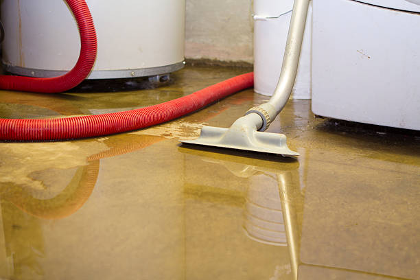 Best 24-hour water damage restoration  in Georgetown, DE