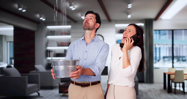 Best Water damage restoration specialists  in Georgetown, DE